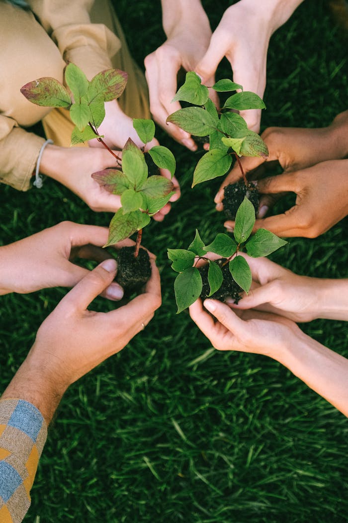 Home Group of diverse people planting tree saplings together, symbolizing sustainability and teamwork.