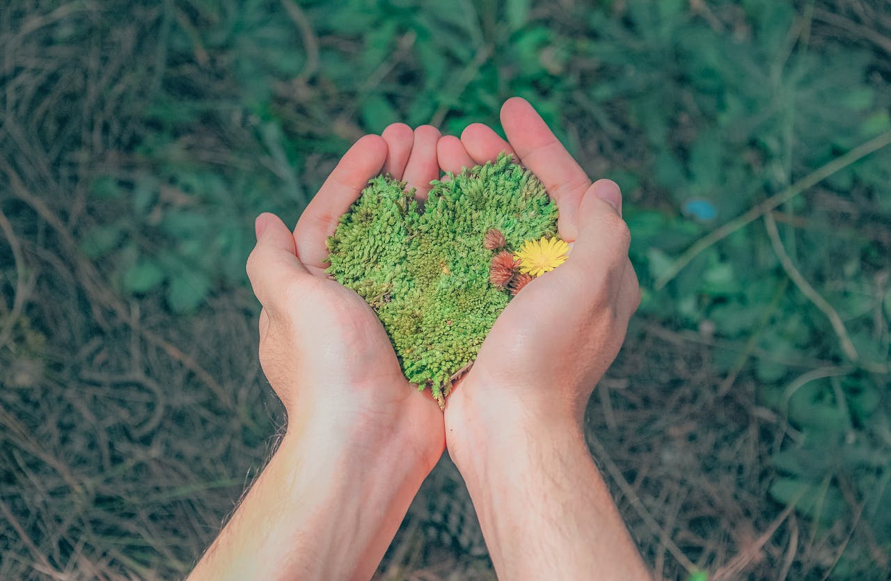 Home Hands in a natural setting holding heart-shaped moss, symbolizing love for nature.